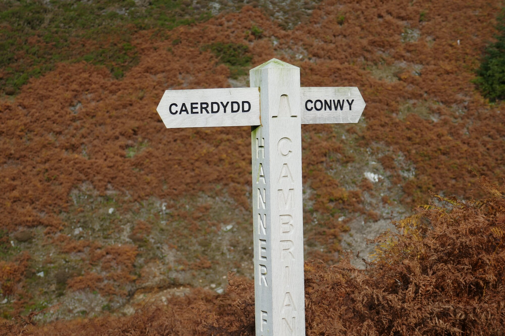 RachelSeabrook.net | Wild Walking | Teifi Pools | pic04
